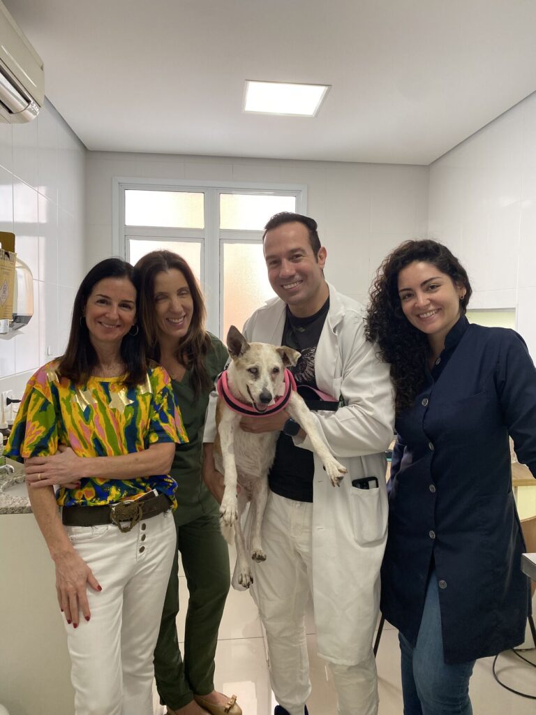 Cliente Oculto e Pet Shops